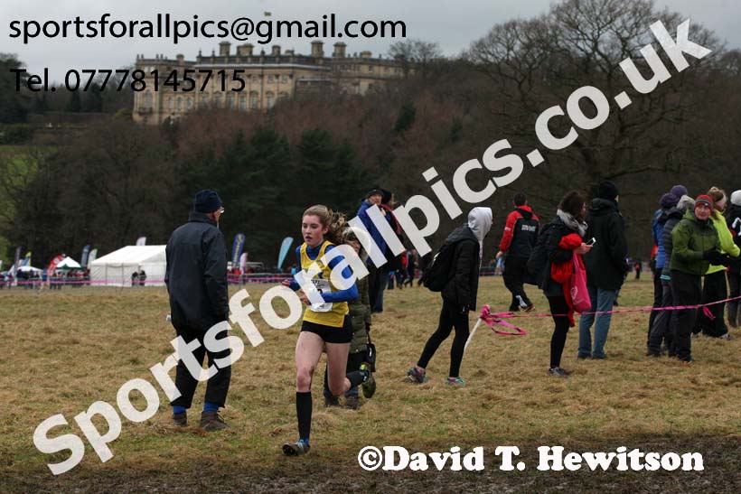 Womens under-17s 2018 Northern Cross Country Champs., Harewood House, Leeds. Photo: David T. Hewitson/Sports for All Pics
